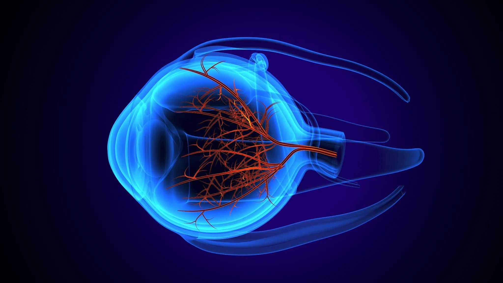 網膜剥離の手術後、何日で見えるようになる？